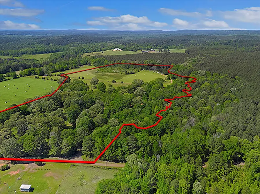 195 Parrish Barrett Circle, Bronson, TX 75930 - Image #2