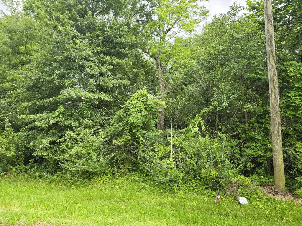 0 E Avenue G Tbd, Conroe, TX 77301 - #1