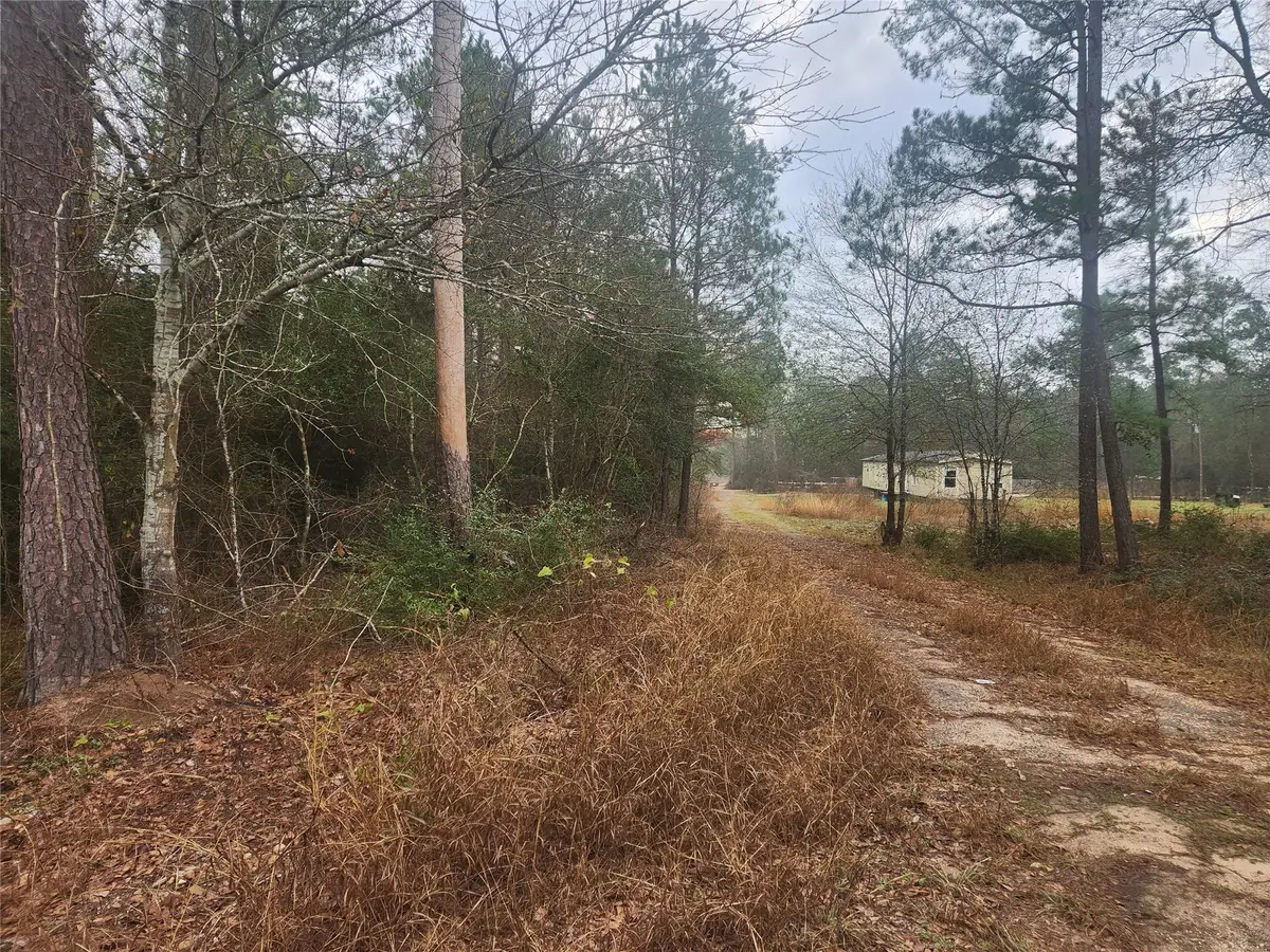 Lot 5 Tupelo Lane, Plantersville, TX 77363 - #1