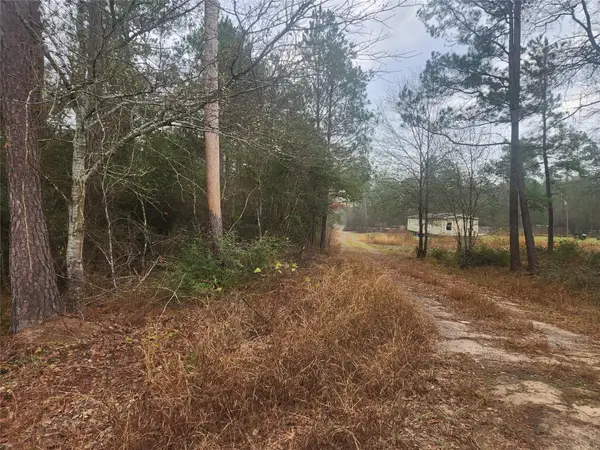 Lot 5 Tupelo Lane, Plantersville, TX 77363