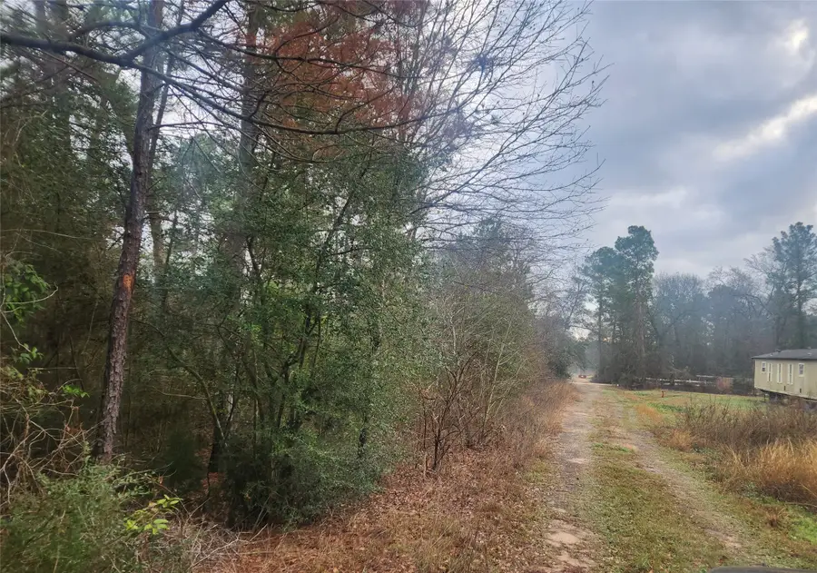 Lot 5 Tupelo Lane, Plantersville, TX 77363 - #3
