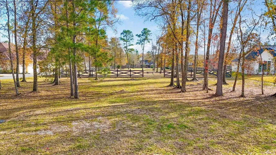 19474 Nasas Drive, Porter, TX 77365 - #2