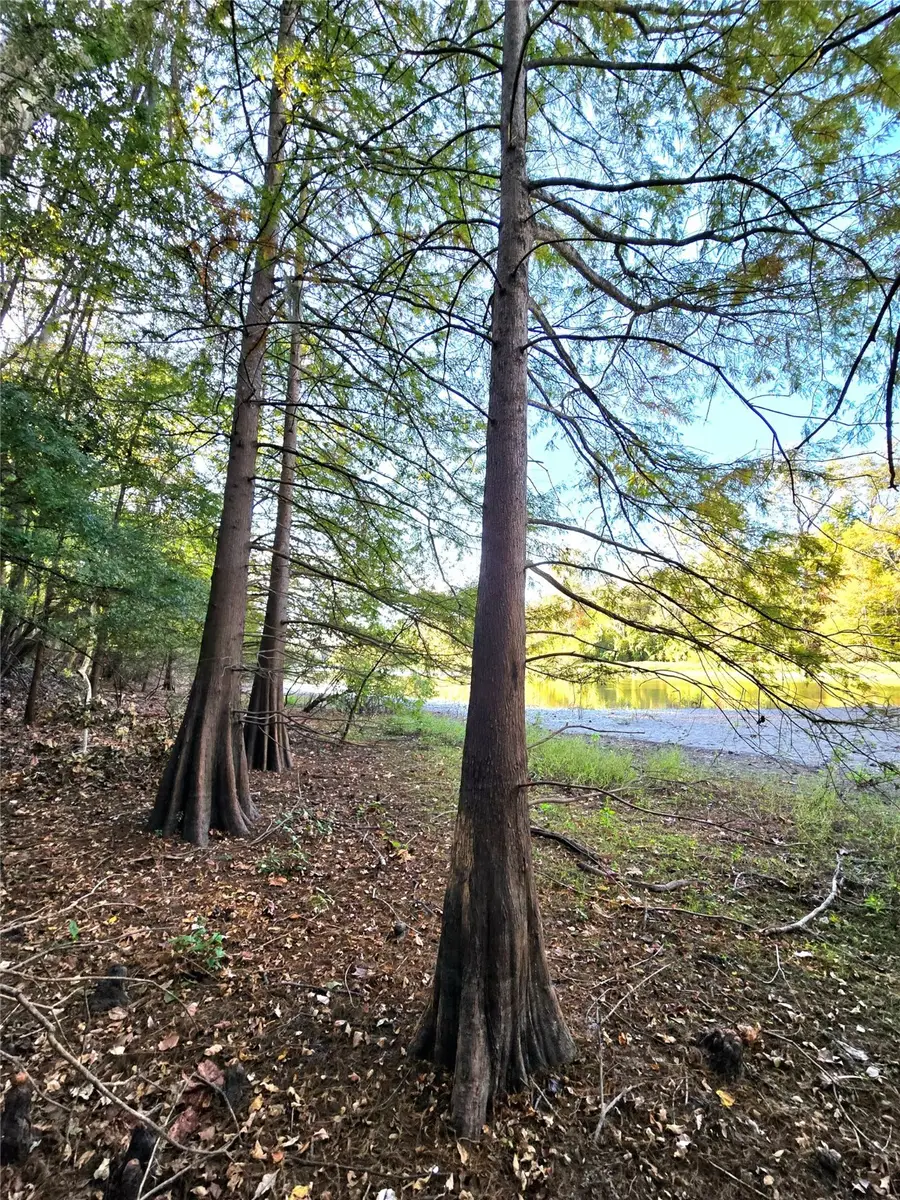 TBD County Road 2167, Cleveland, TX 77327 - Image #2