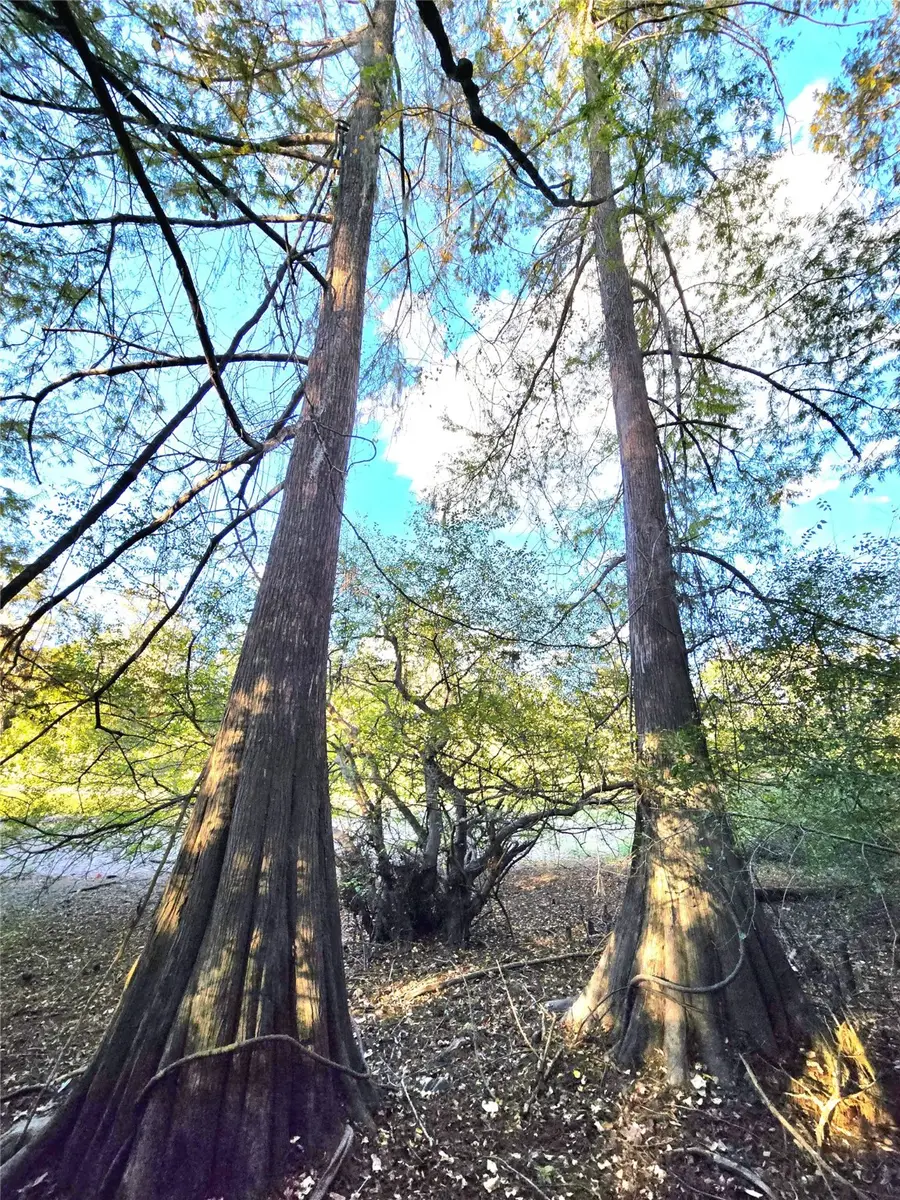 TBD County Road 2167, Cleveland, TX 77327 - Image #3