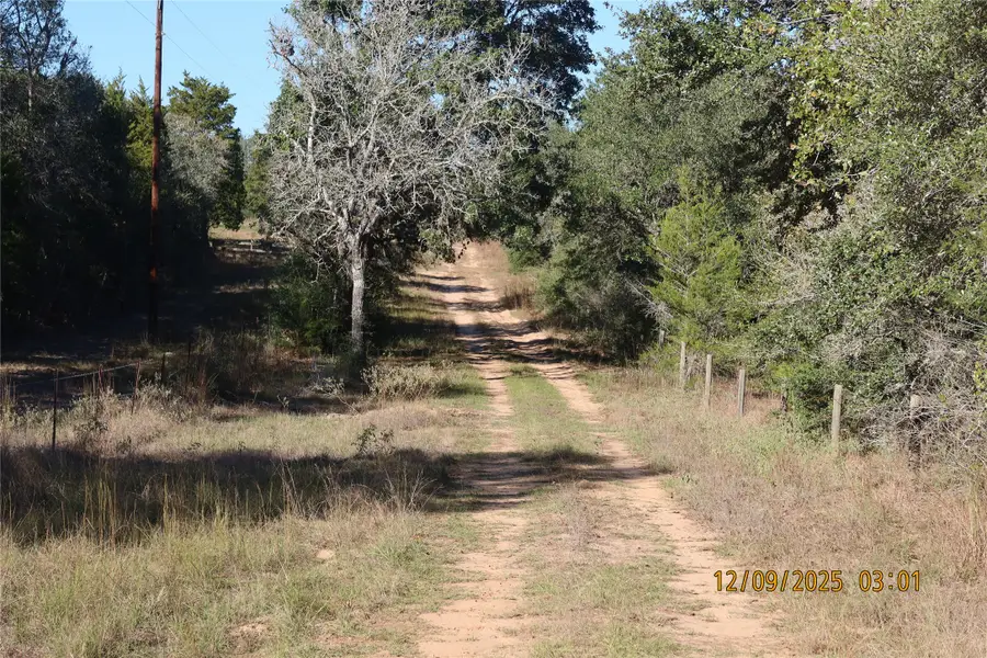 CR 119 Road 1023, Sheridan, TX 77475 - Image #2