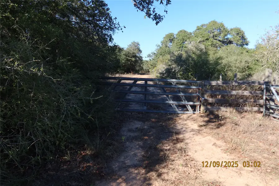 CR 119 Road 1023, Sheridan, TX 77475 - Image #3