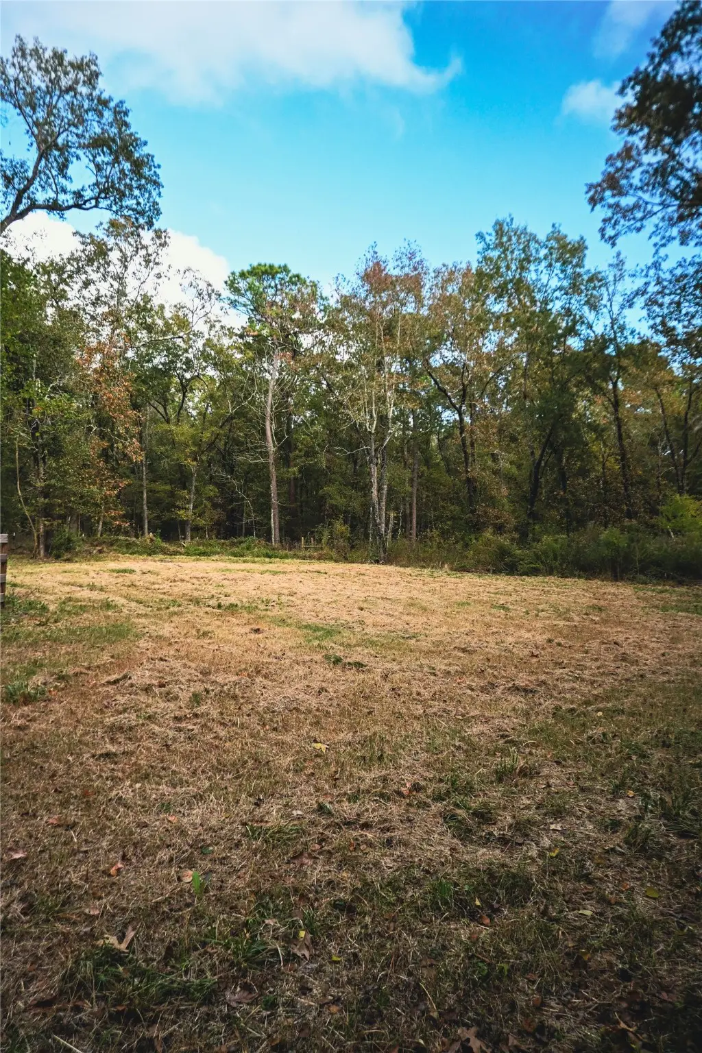 TBD Jerry Raymond, Wallisville, TX 77597 - Image #1