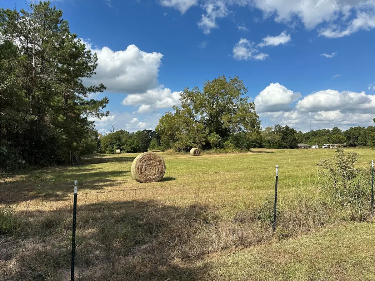 11 ac W Danville Rd, Willis, TX 77378 - Image #1