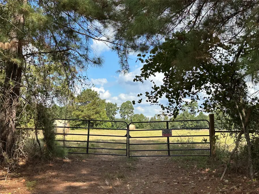 11 ac W Danville Rd, Willis, TX 77378 - Image #3