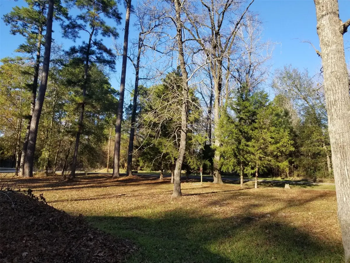TBD Acorn, Livingston, TX 77351 - #1