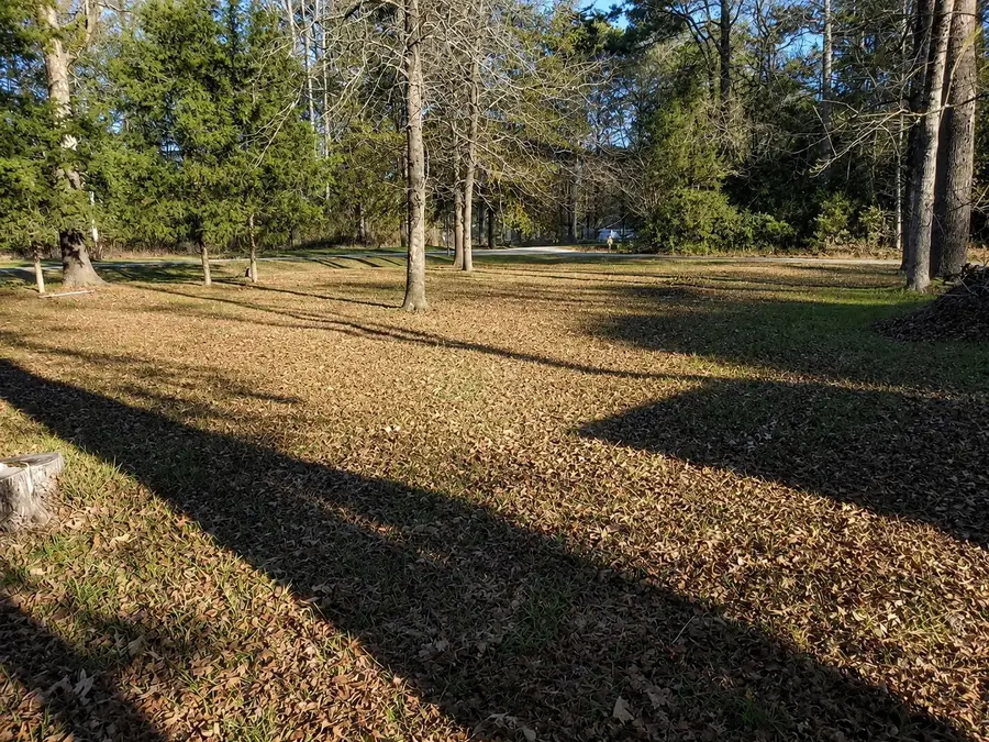 TBD Acorn, Livingston, TX 77351 - #3