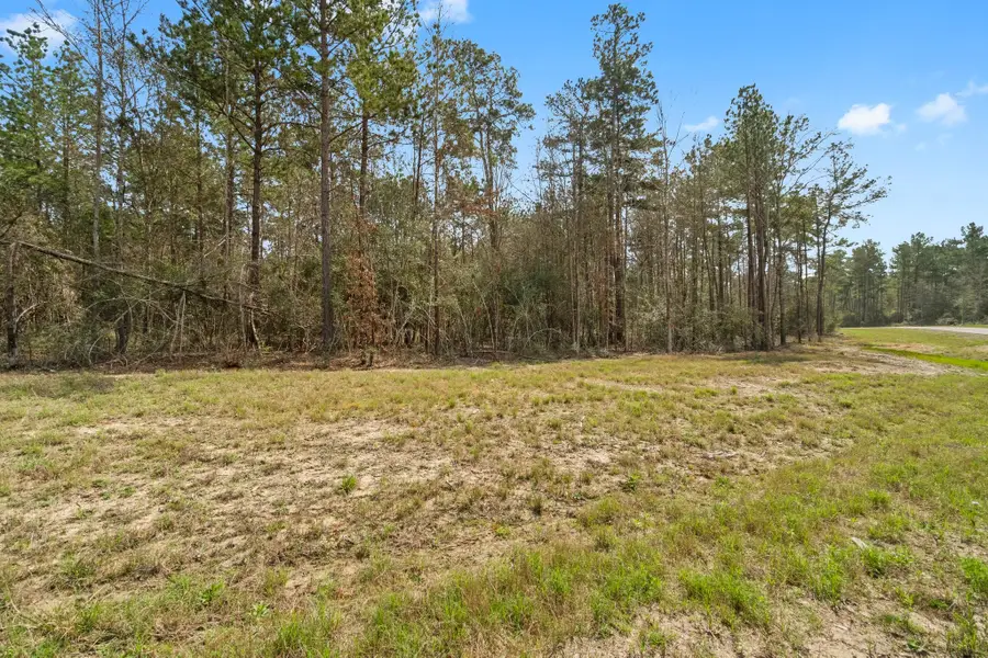15370 Red Hawk Road, Willis, TX 77378 - #3