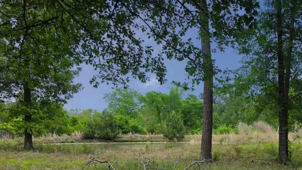 35 Lacee Lane, Huntsville, TX 77320