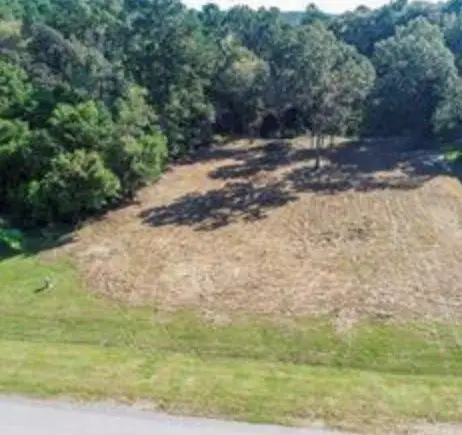 28406 Calaveras Creek Court, Huffman, TX 77336 - Image #2