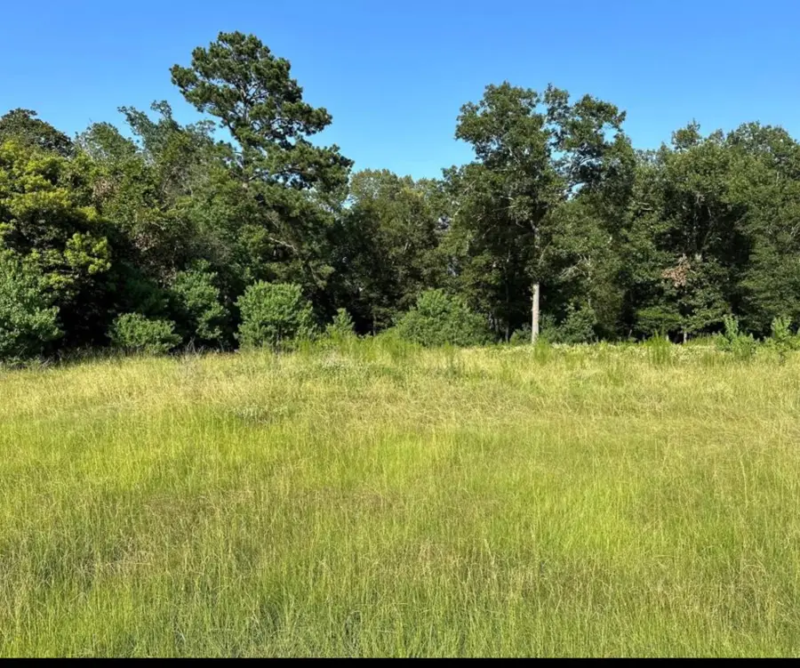 28406 Calaveras Creek Court, Huffman, TX 77336 - Image #3