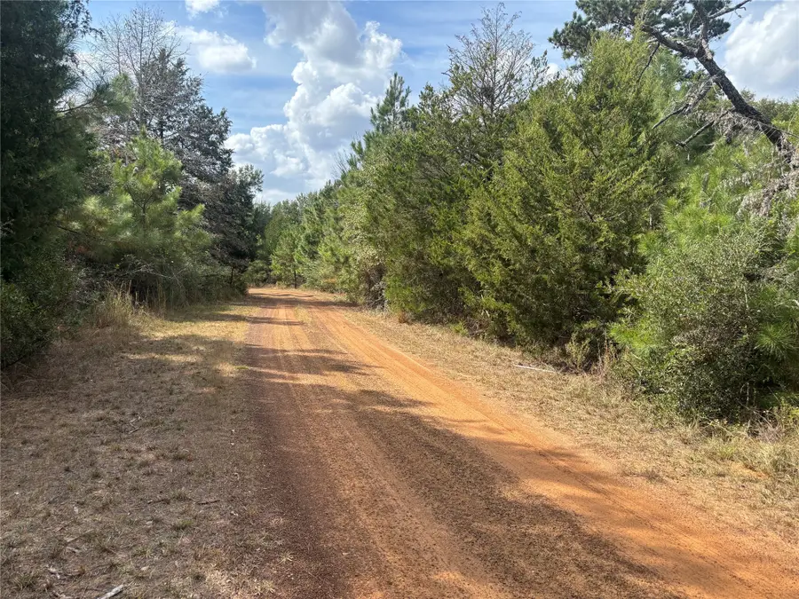 LOT #12 Deerwood Lakes, Hempstead, TX 77445 - #2