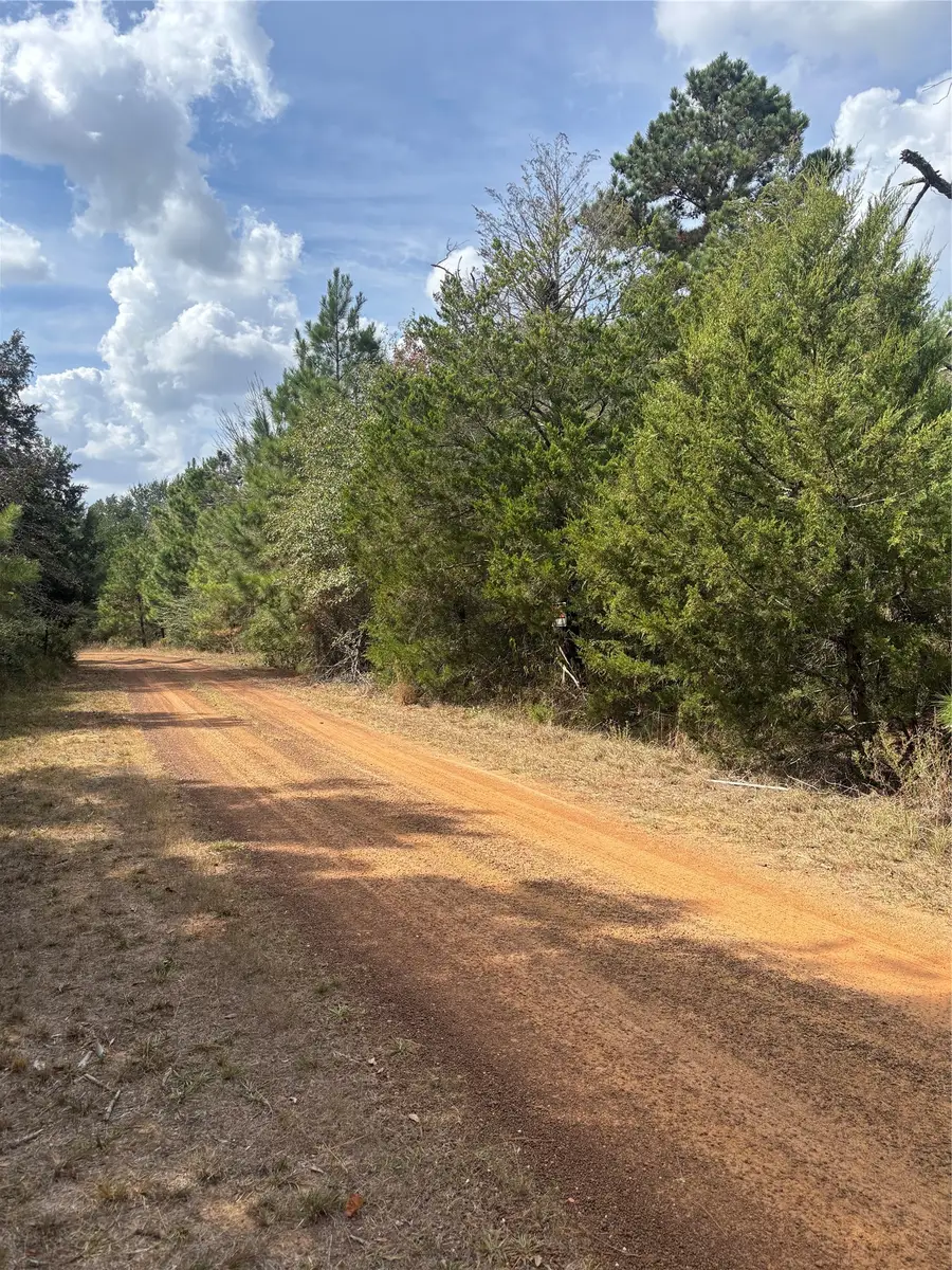 LOT #12 Deerwood Lakes, Hempstead, TX 77445 - #3