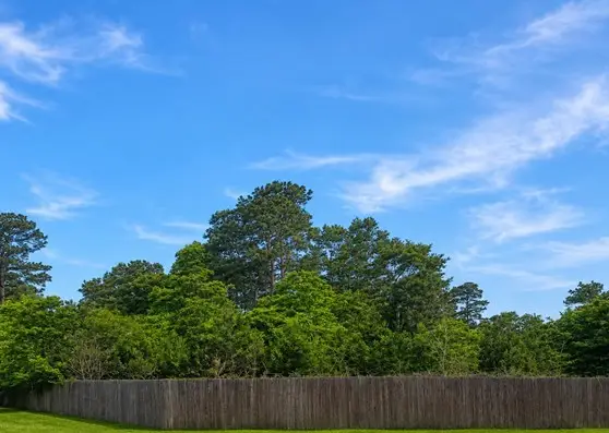 0 Spanish Oaks Drive, New Caney, TX 77357