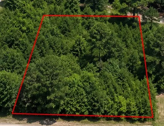 0 Spanish Oaks Drive, New Caney, TX 77357 - #3