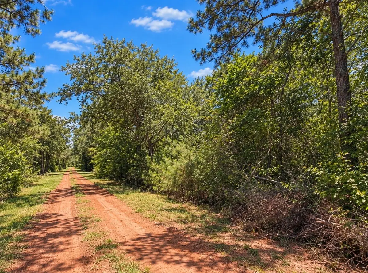 00 Deerwood Dr, Hempstead, TX 77445 - #1