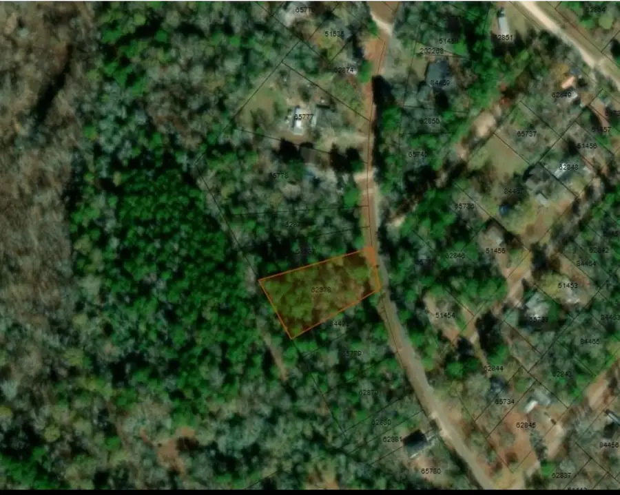 0 Chris Brent Drive, Livingston, TX 77351 - Image #3