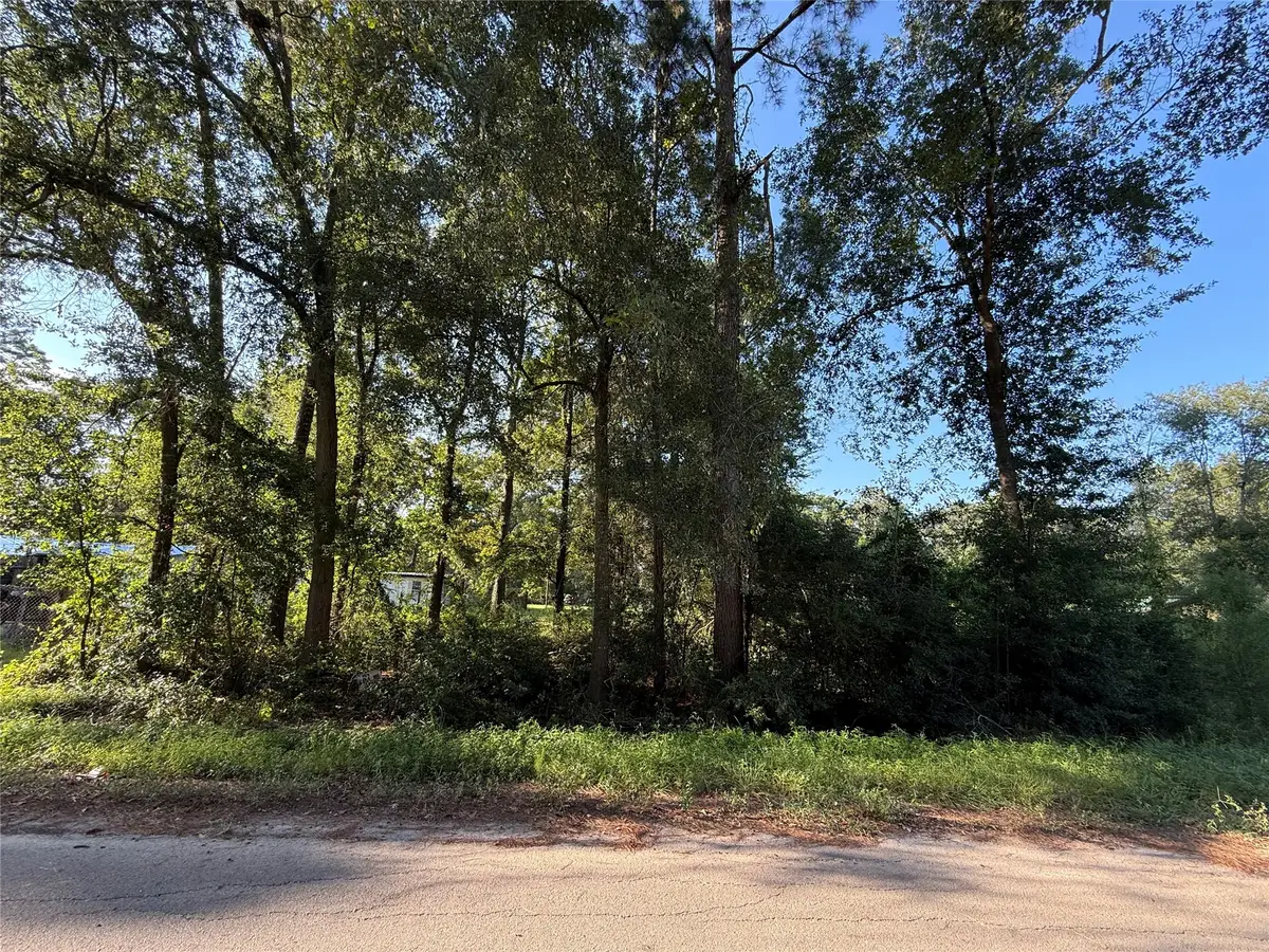 00 Spanish Oaks Dr, New Caney, TX 77357 - #1