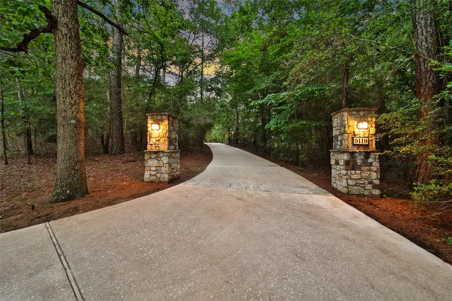 9119 Sendera Drive, Magnolia, TX 77354 - #2