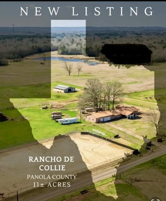 511 County Road 161, Long Branch, TX 75669 - #1