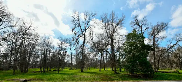 15827 Oleta Lane, Sugar Land, TX 77498