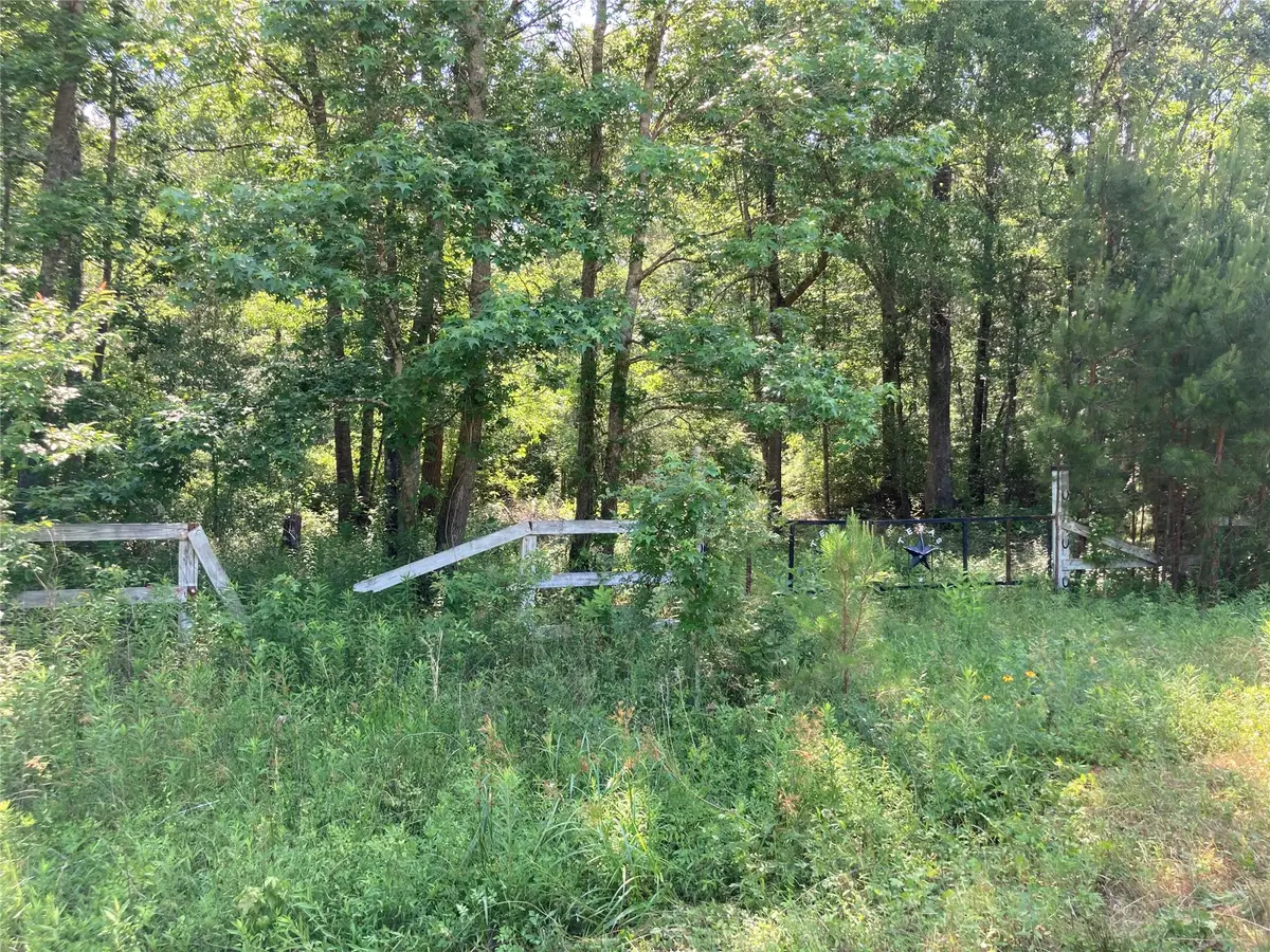 0 Lee Dr, Cleveland, TX 77328 - #1