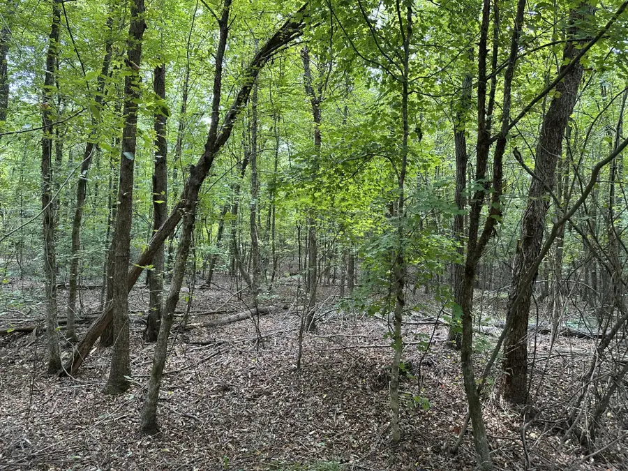 0 N/a, Rusk, TX 75785 - Image #3