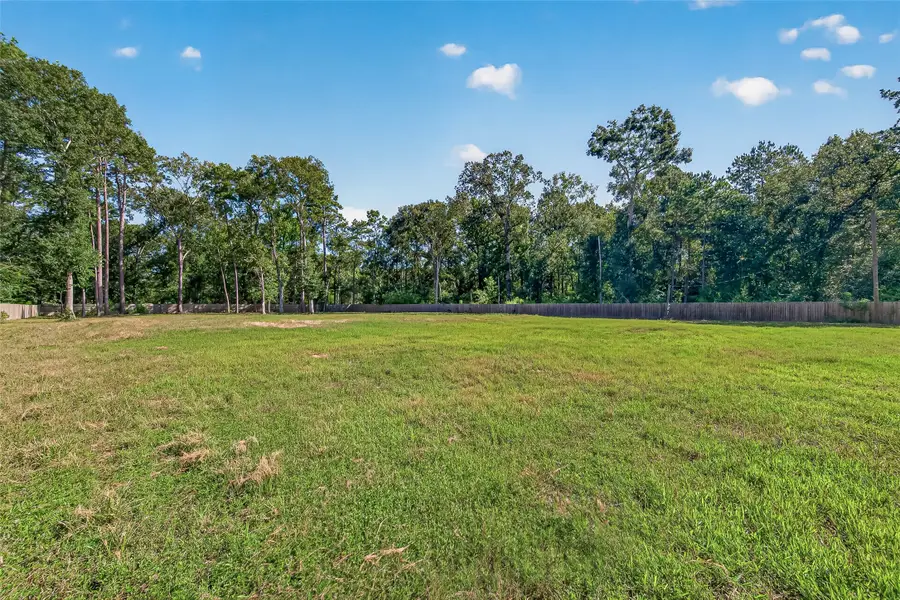 369 County Road 356, New Caney, TX 77357 - #3