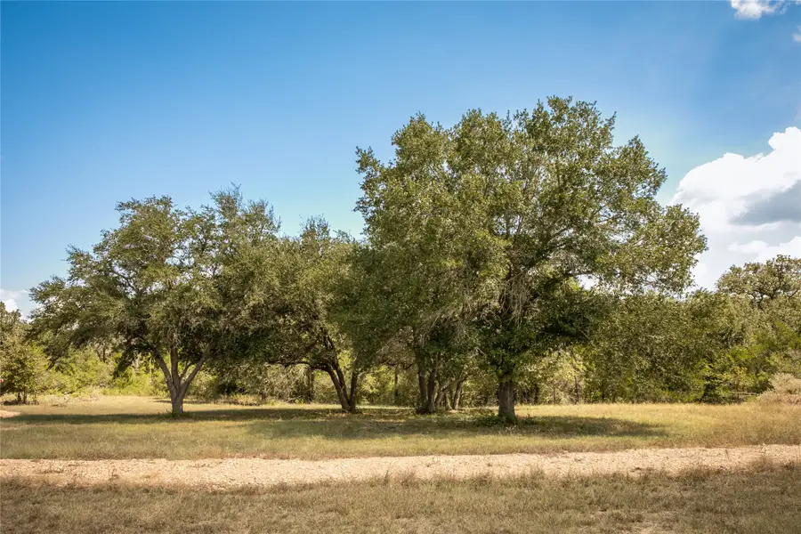 5848 Fm 180, Ledbetter, TX 78946 - #3