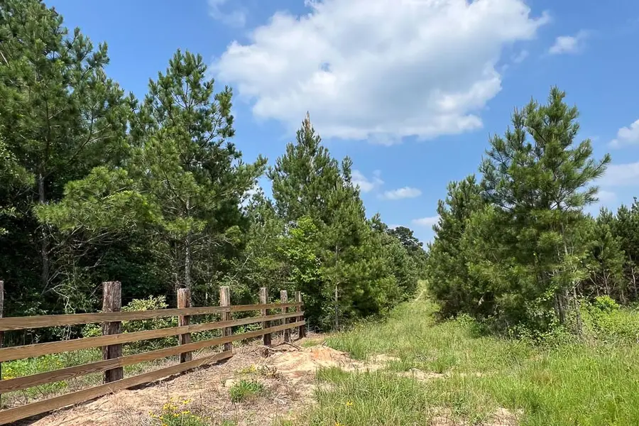 0004 Sh 249, Navasota, TX 77868 - Image #2