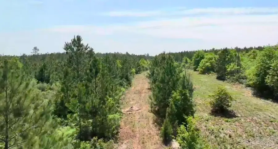 0004 Sh 249, Navasota, TX 77868 - Image #3