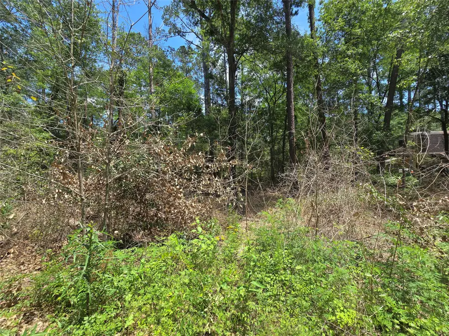 12949 Cedar Tree Court, Plantersville, TX 77363 - #2