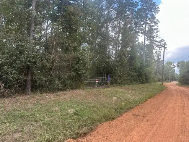 1 Salem Church Rd, Willis, TX 77378 - #1