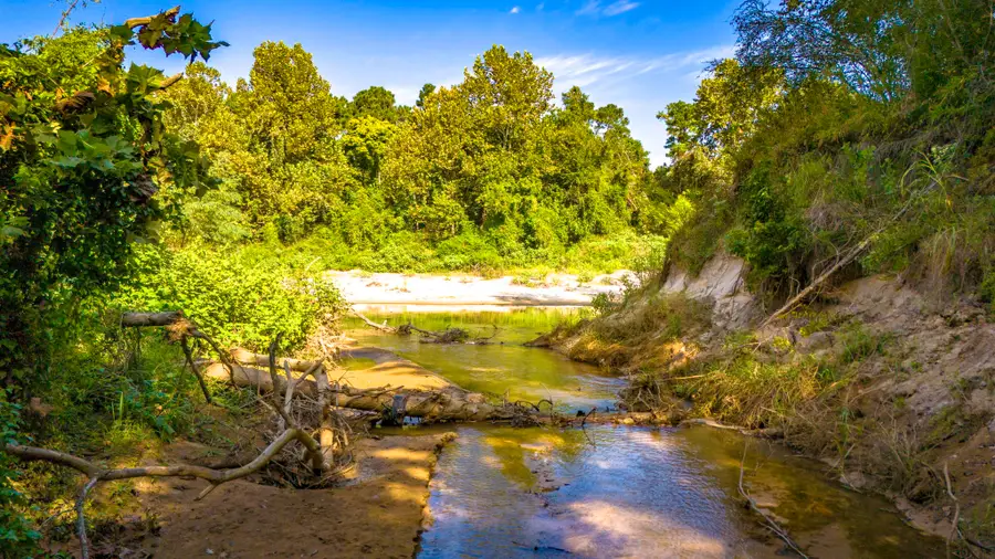 TBD Garner Road, Goodrich, TX 77335 - Image #2