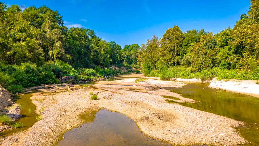 TBD Garner Road, Goodrich, TX 77335 - Image #3