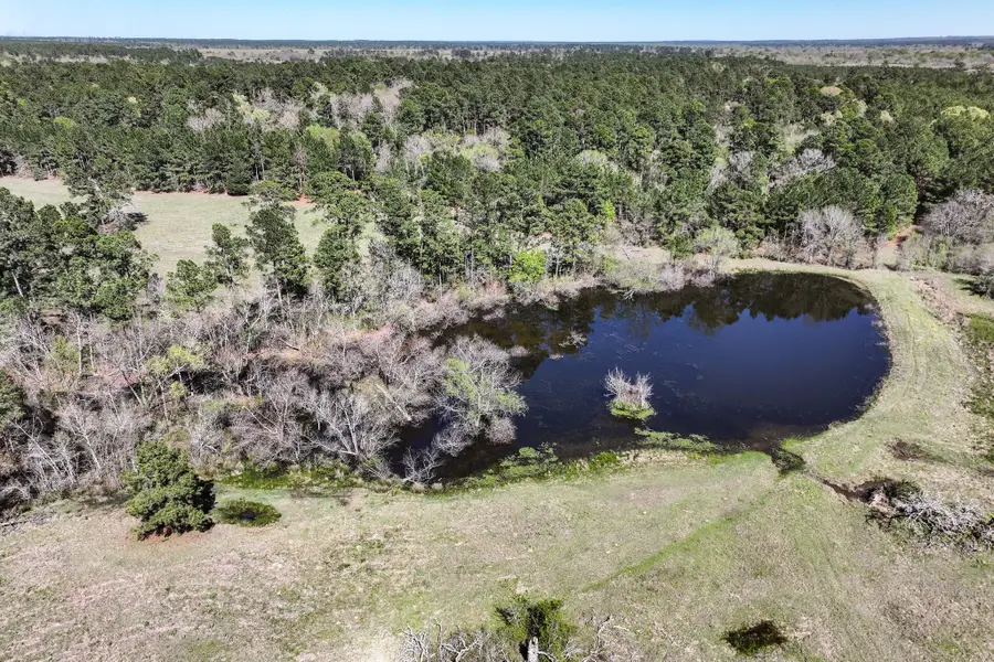 784 Acres Round Prairie Road, Huntsville, TX 77320 - #3