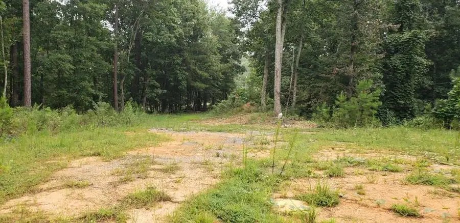 7667 Hwy 101 North, Yorkville, GA 30153 - #3