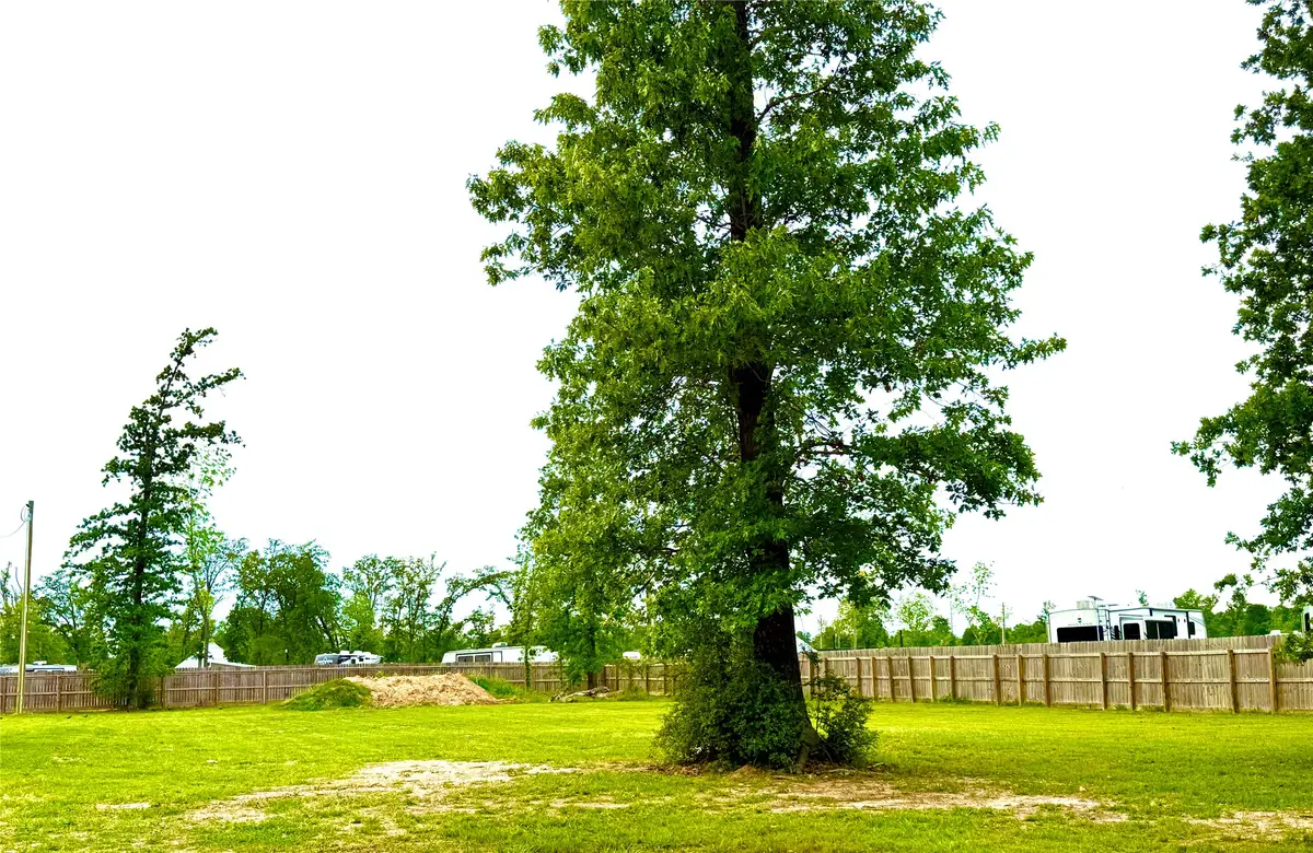 TBD Lot 15 Pearl Court, Onalaska, TX 77360 - #1