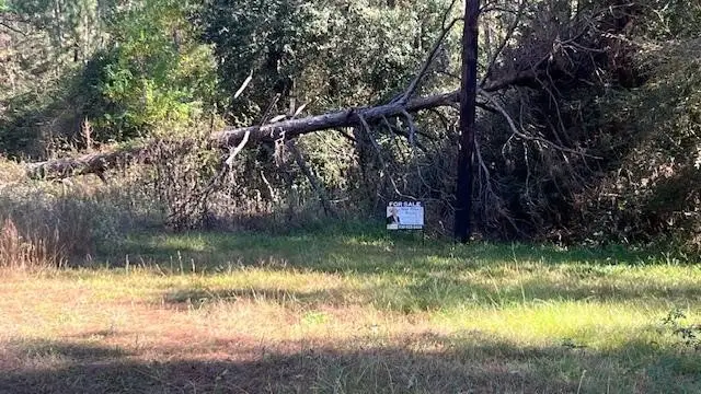 TBD Clark Road, Plantersville, TX 77363 - Image #2