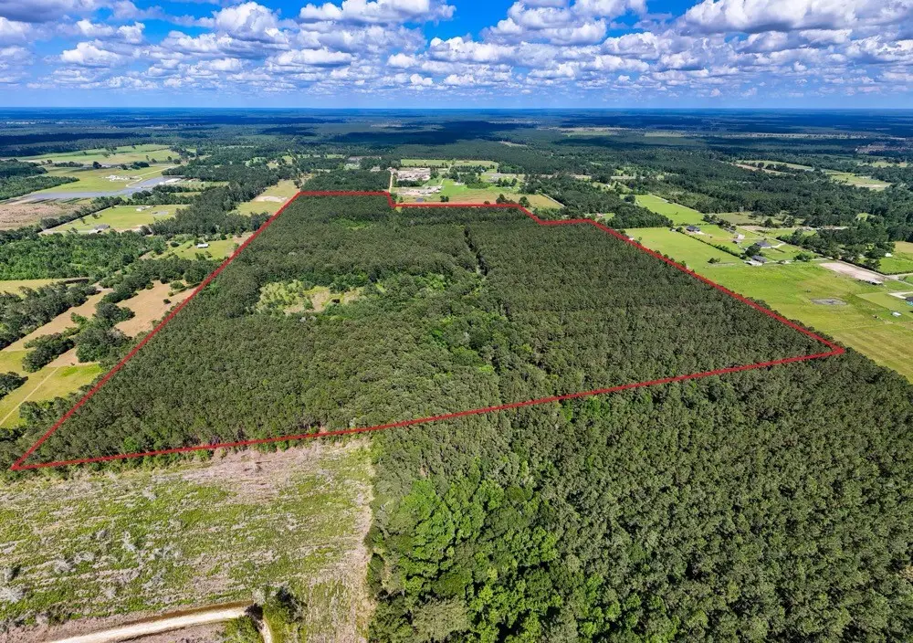 XXX Private Rd 5170, Kirbyville, TX 75956 - #1
