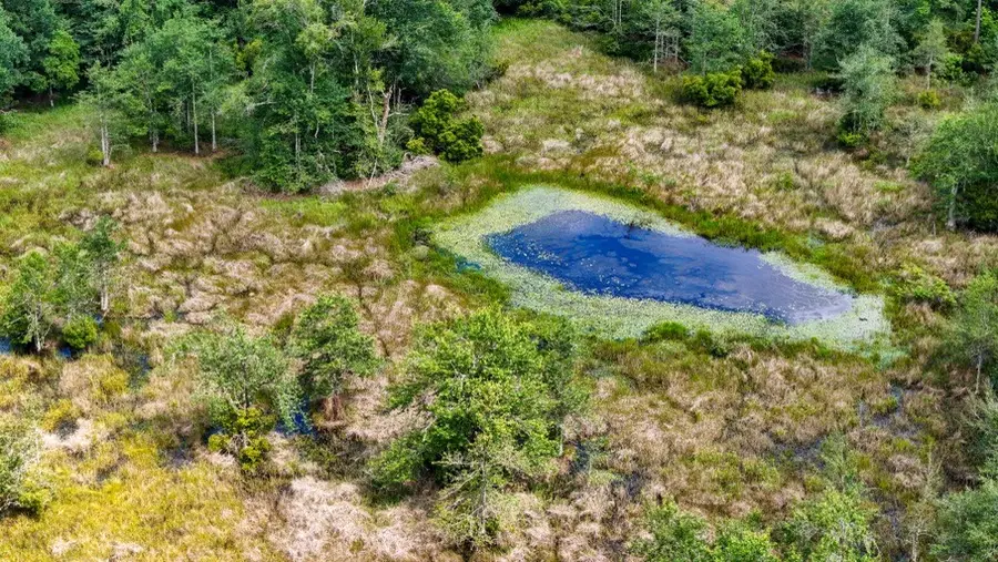 XXX Private Rd 5170, Kirbyville, TX 75956 - #3