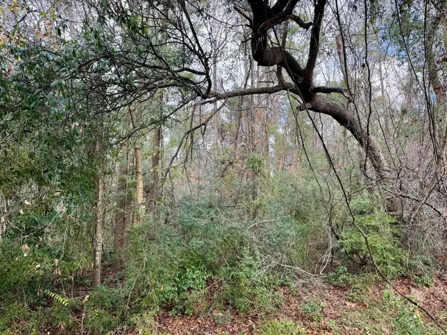 TBD Fm 92, Woodville, TX 75979 - Image #2