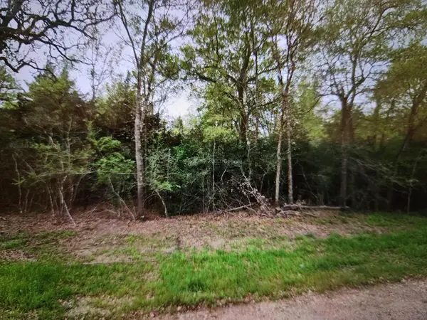 0 S Swan Lake Drive, Caldwell, TX 77836