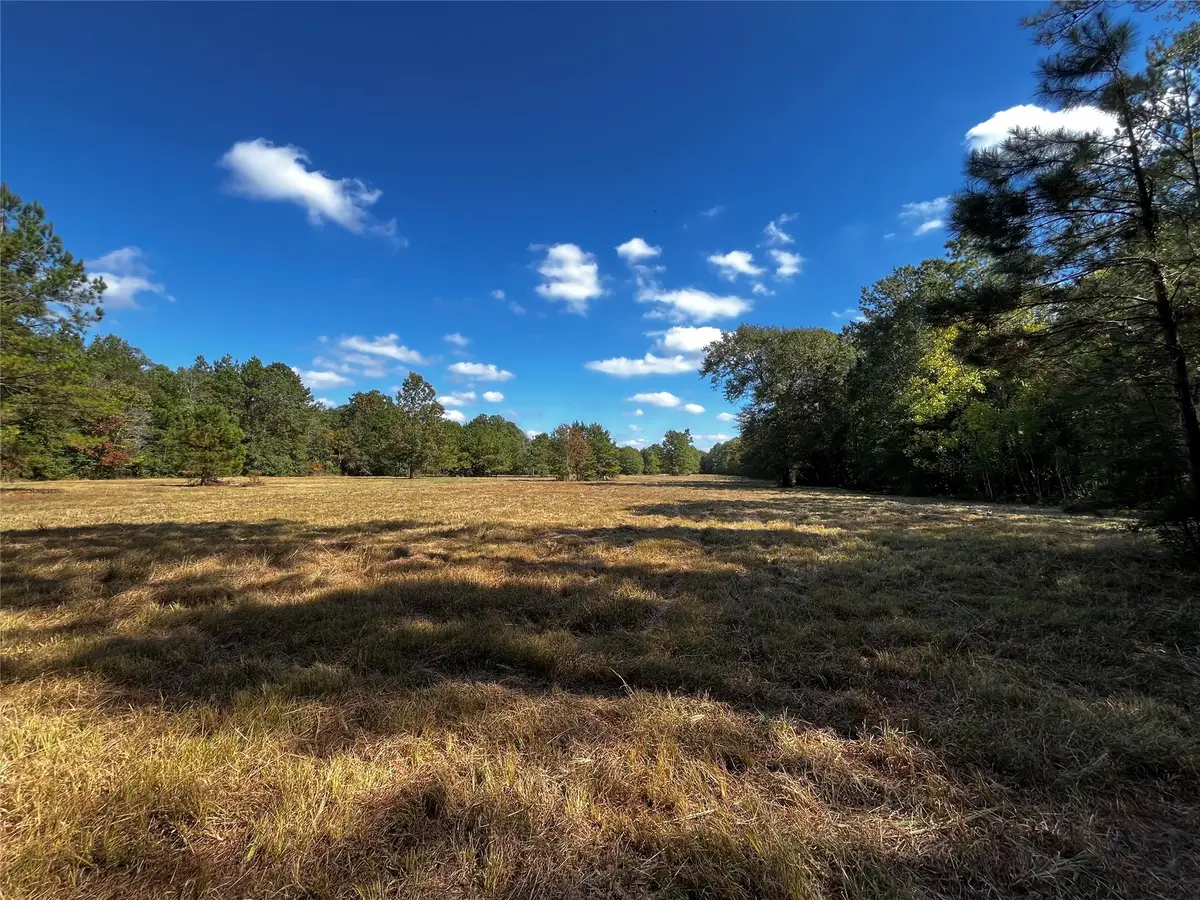 0 County Road 2314, Dayton, TX 77535 - Image #1
