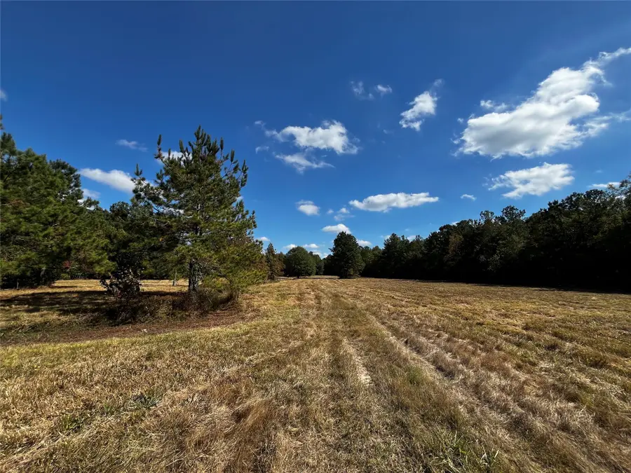 0 County Road 2314, Dayton, TX 77535 - Image #2