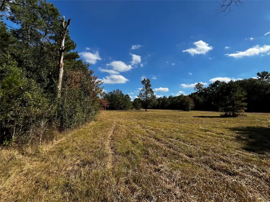 0 County Road 2314, Dayton, TX 77535 - Image #3